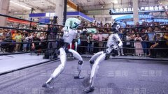 学中国研究院副研究员刘典认为